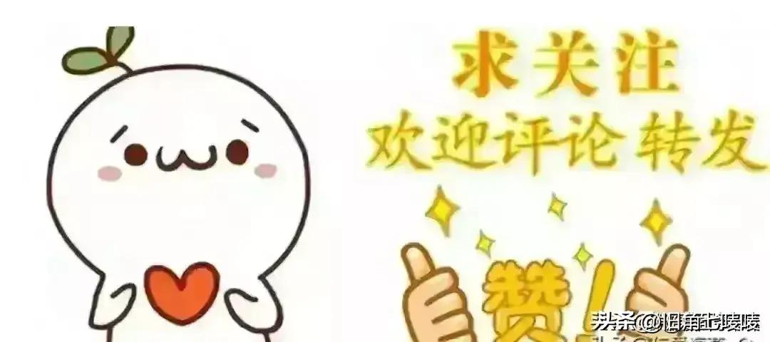 ＂2024全年资料免费大全功能＂的：执行机制评估_用心版4.76