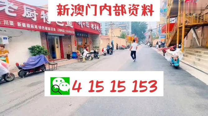 ＂2024澳门天天开好彩大全开奖结果＂的：实践调查说明_极致版2.5