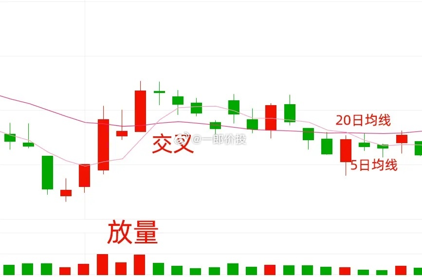 股票叉叉，投资新策略还是风险博弈？