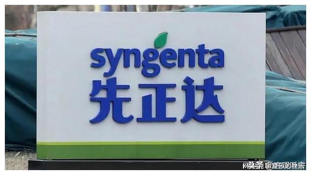 先正达国内上市,先正达国内上市，机遇与挑战并存