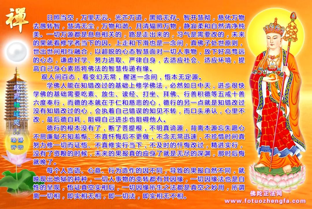 最新佛法开示揭秘，小巷深处的禅意宝藏探寻