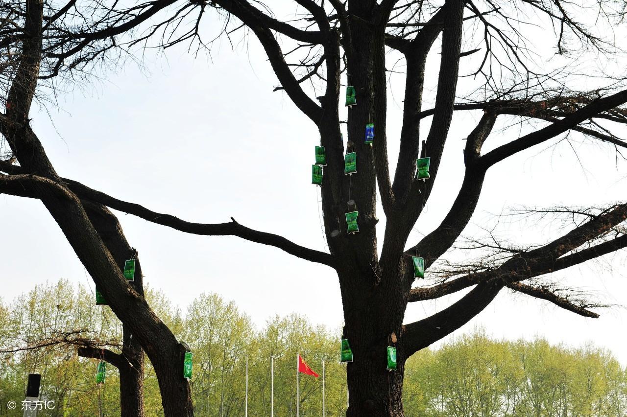 满族最新资讯,满族最新资讯