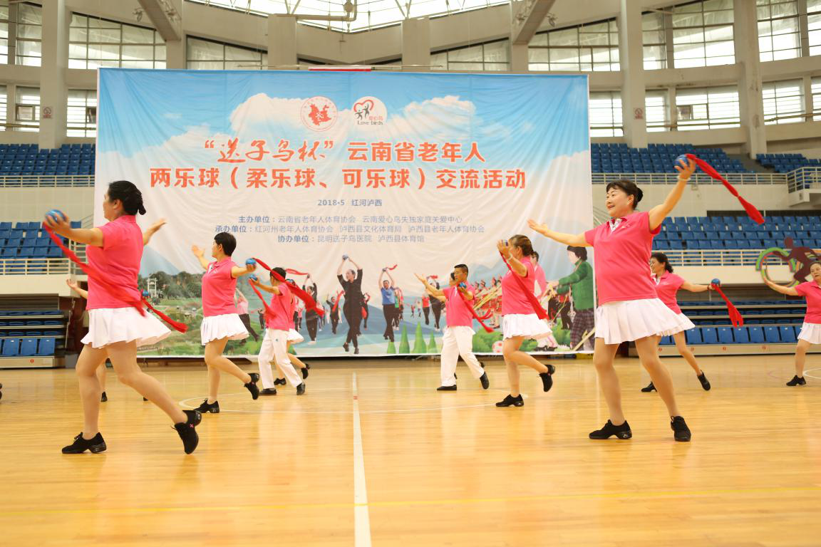 柔乐球精彩演出,柔乐球精彩演出，惊艳四座！