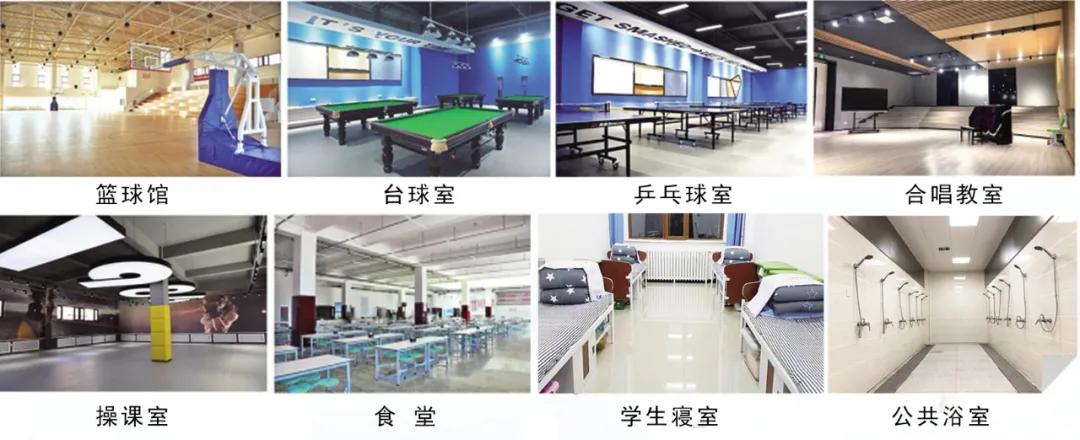 浑南新区最新招聘资讯，时代脉搏与人才舞台的交汇点