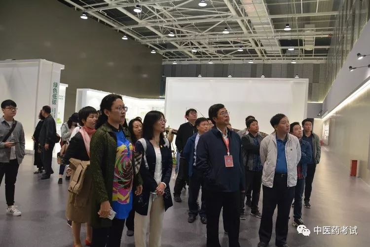 安新县最新动态概览🌟
