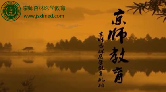 京师杏林96k最新版探秘与特色解析