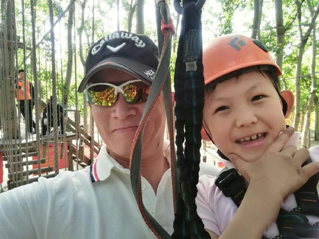 杨志刚最新主演电视剧深度解析及其影响力探讨