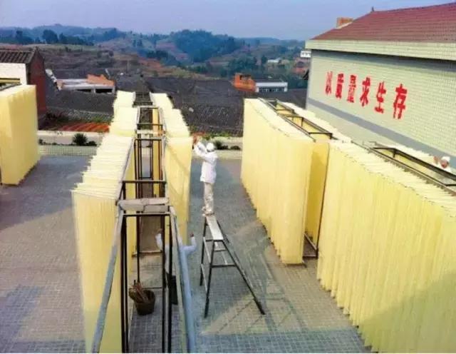 成宜高速公路最新动态，建设进展、特色亮点及未来展望