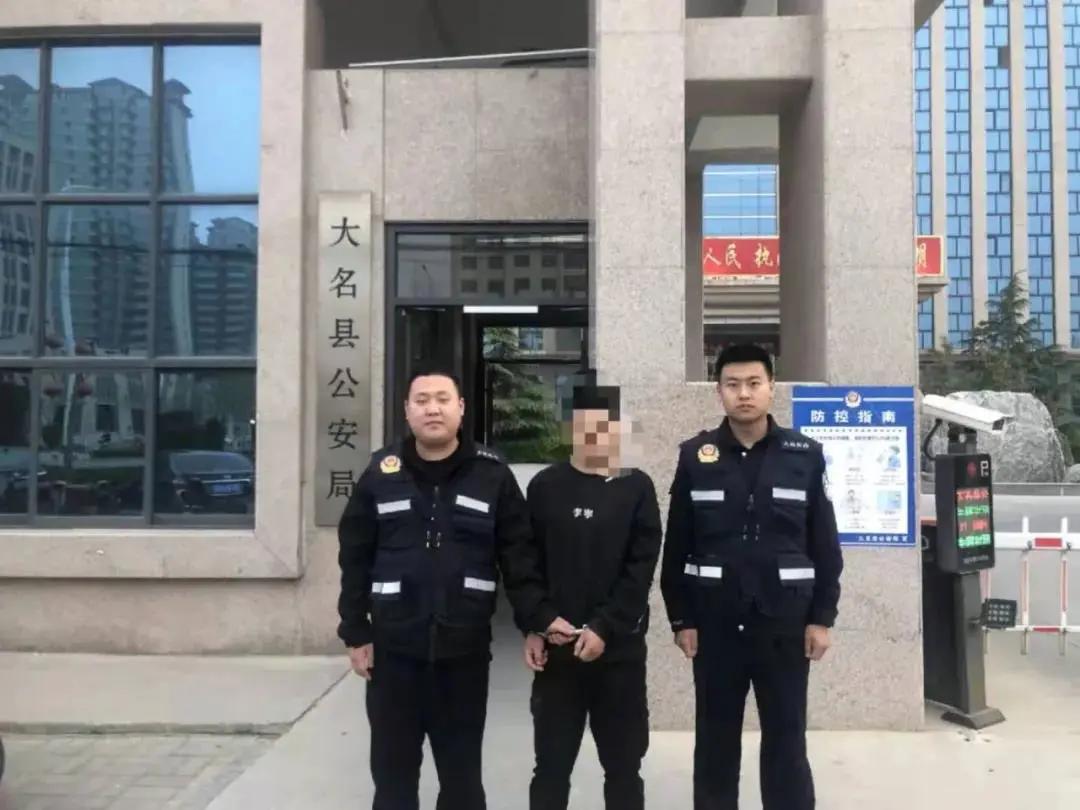 大名出租房屋最新动态，全面指南与最新消息