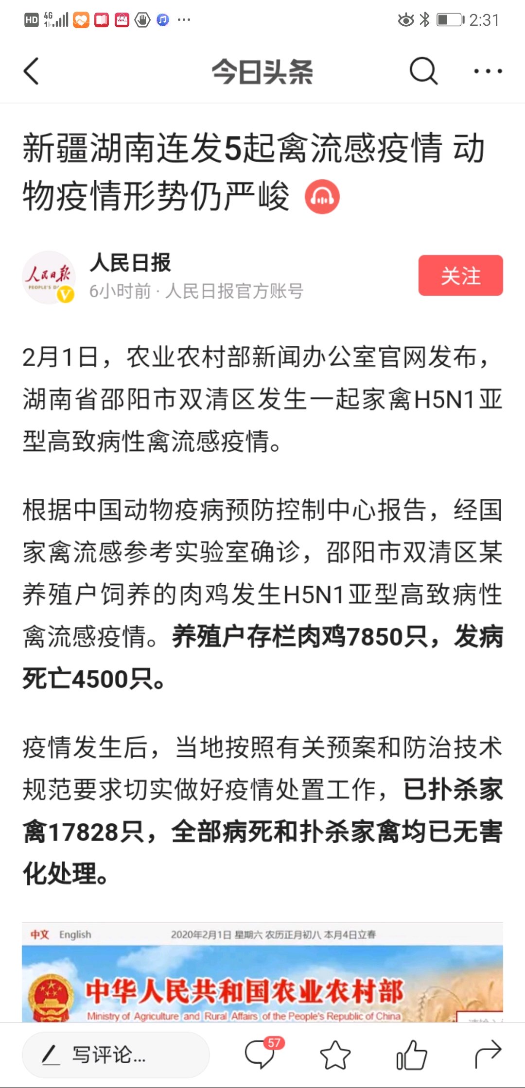 禽流感最新动态与全面应对步骤指南