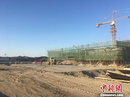 唐山丰南港最新动态，港口边的温情故事