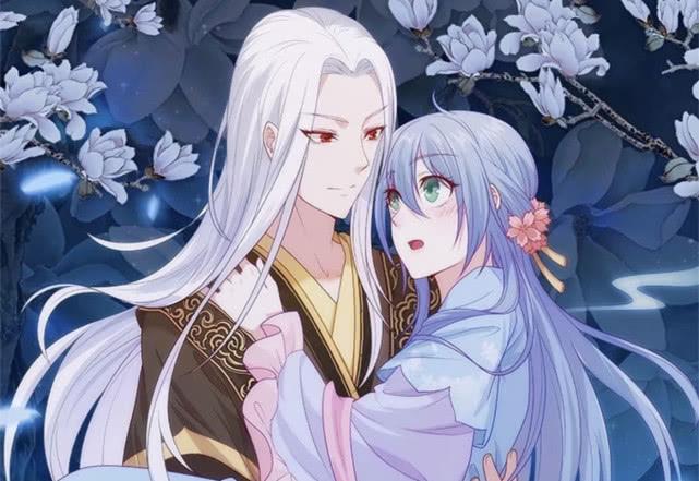侯门宠妻，古代豪门婚姻生活的深度解读最新章节解析