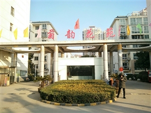最新社旗独家小院出售，市场趋势、正反观点分析与个人立场探讨