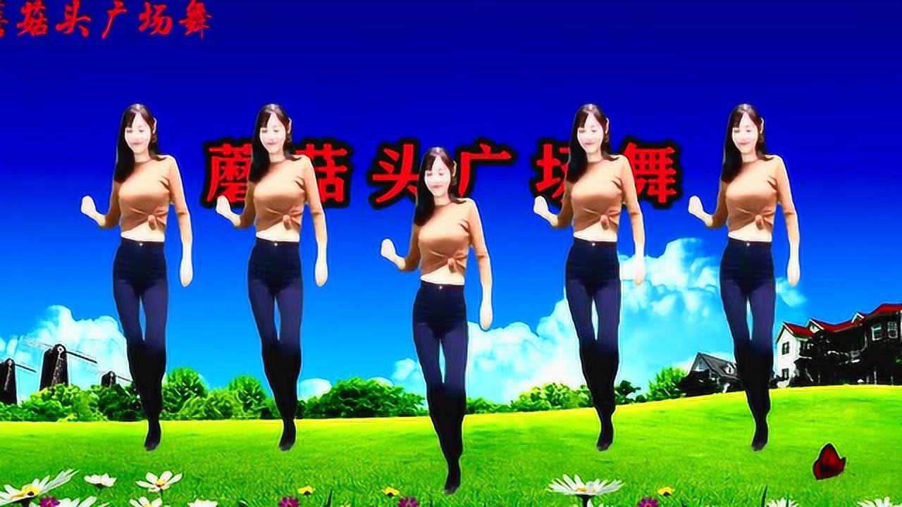随风飘舞最新广场舞，舞动自信，展现生活力量